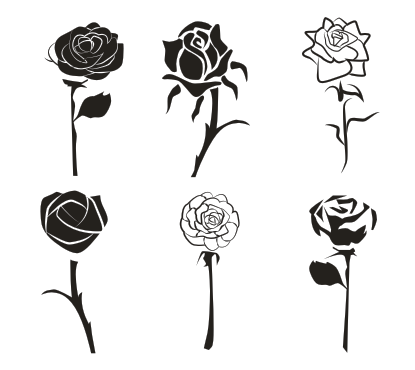 玫瑰花矢量圖免費下載plt-cdr-ai格式